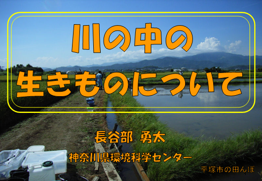 2019年環境活動講座資料川の中の生きものについて表紙