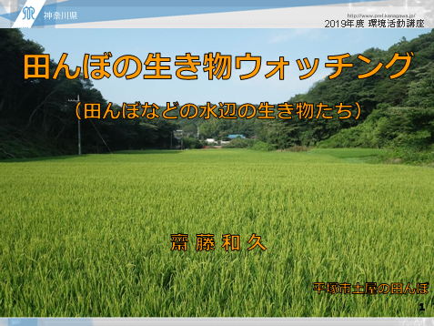 2019年環境活動講座資料田んぼの生き物ウォッチング表紙