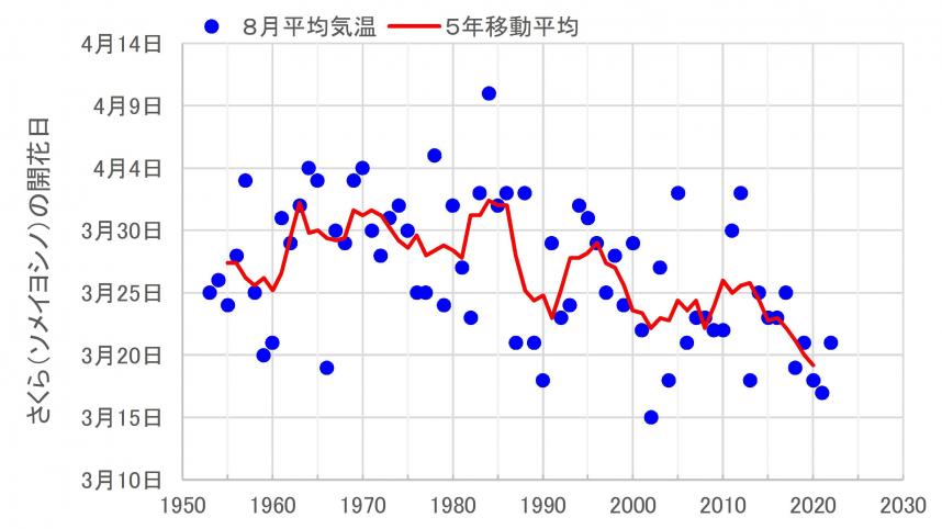 横浜地方気象台におけるさくら（ソメイヨシノ）の開花日の変化