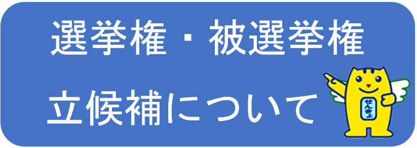 選挙権被選挙権立候補について