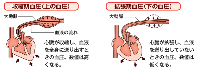 血圧 の 下 が 高い 理由