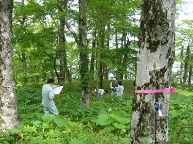 写真：山間地での調査の様子2