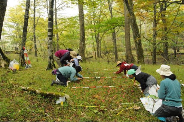 写真：更新木モニタリング調査