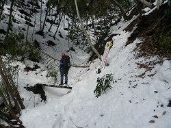 雪の山中を巡視するかながわパークレンジャー