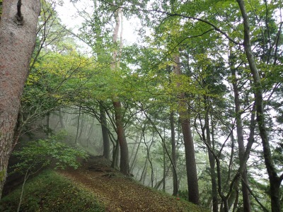 912塔ノ岳