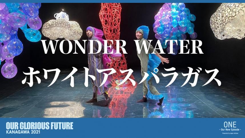 wonderwater