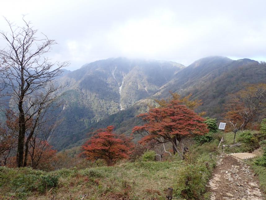 211015塔ノ岳山頂付近