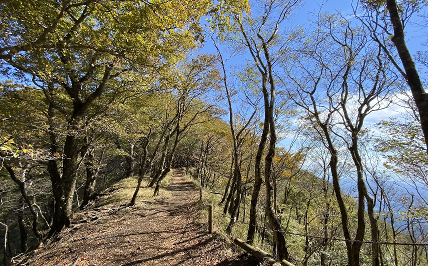 211024鍋割山稜