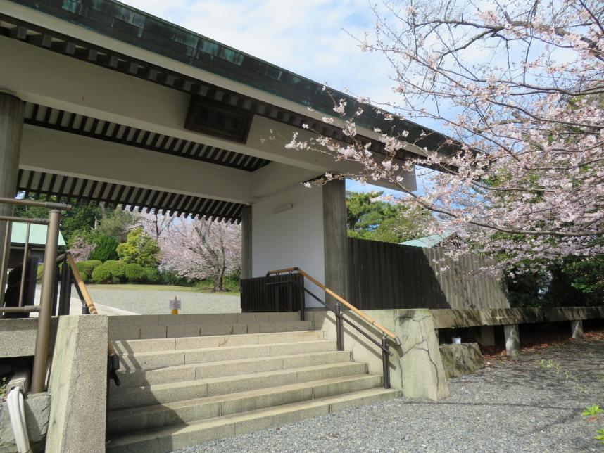 慰霊堂桜の写真ー1