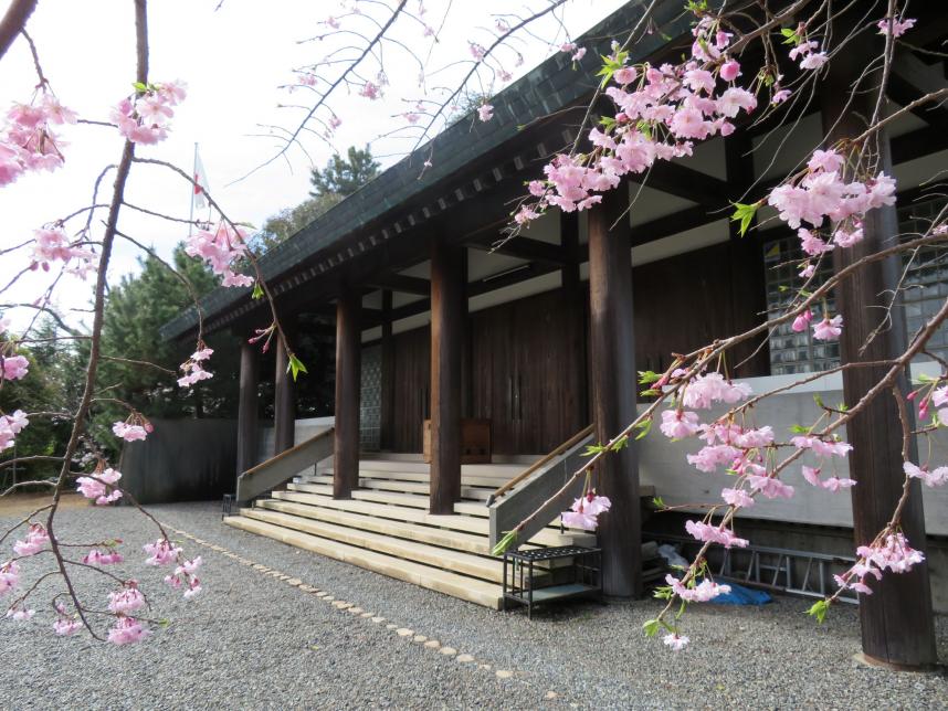 慰霊堂桜の写真ー2