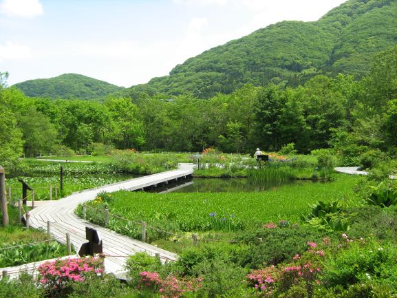 箱根湿生公園の写真