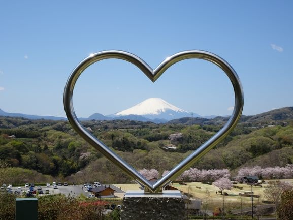 中井中央公園の写真