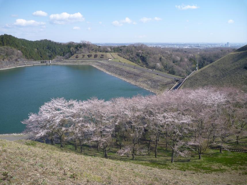 発電総合制御所周辺の写真