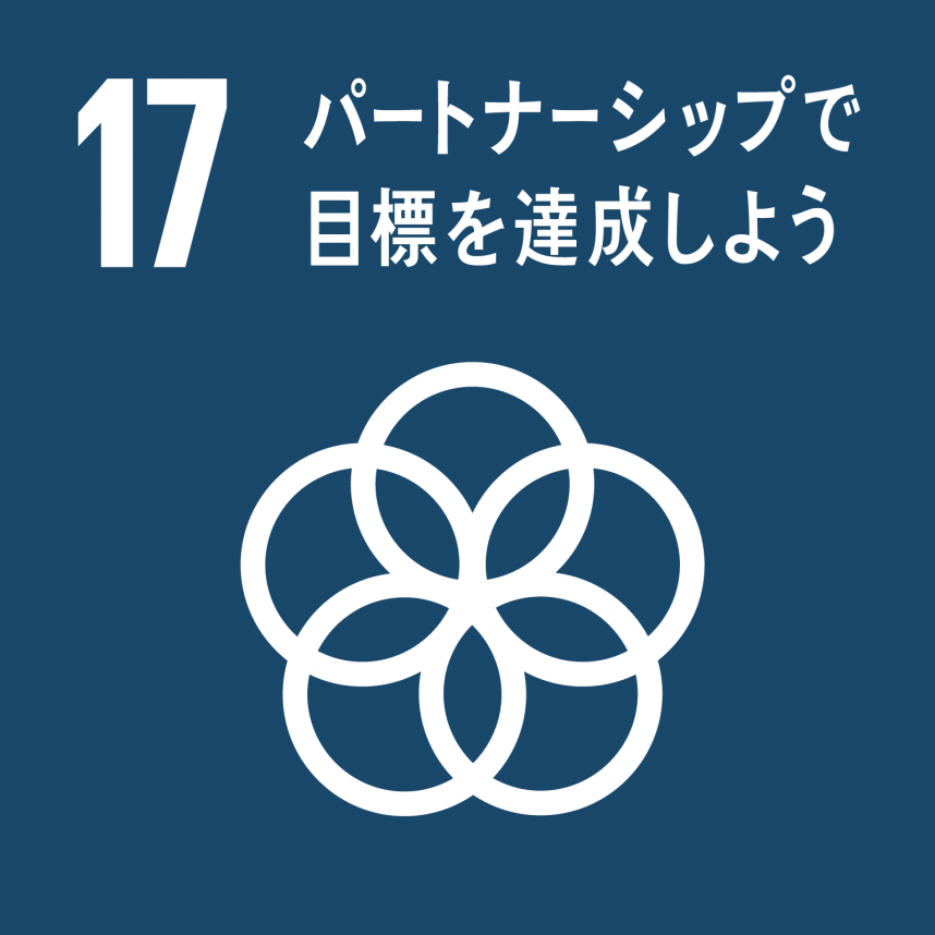 sdg17