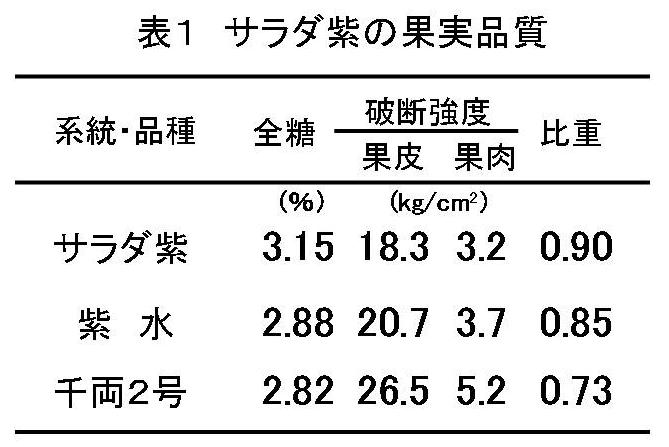 サラダ紫の果実品質