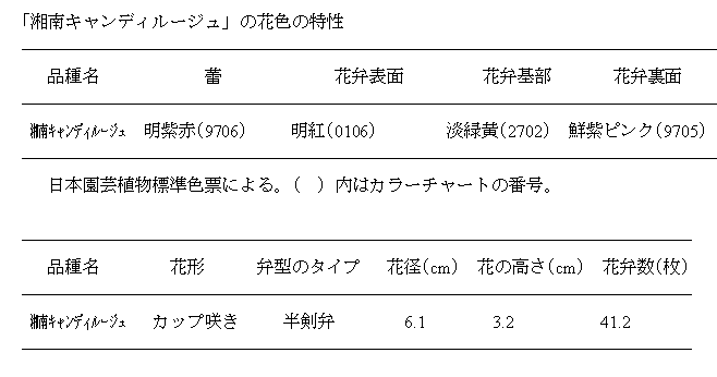 湘南キャンディルージュ品種特性表