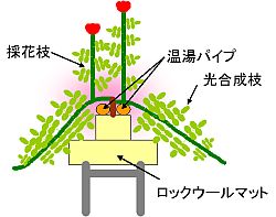 株元加温システム図