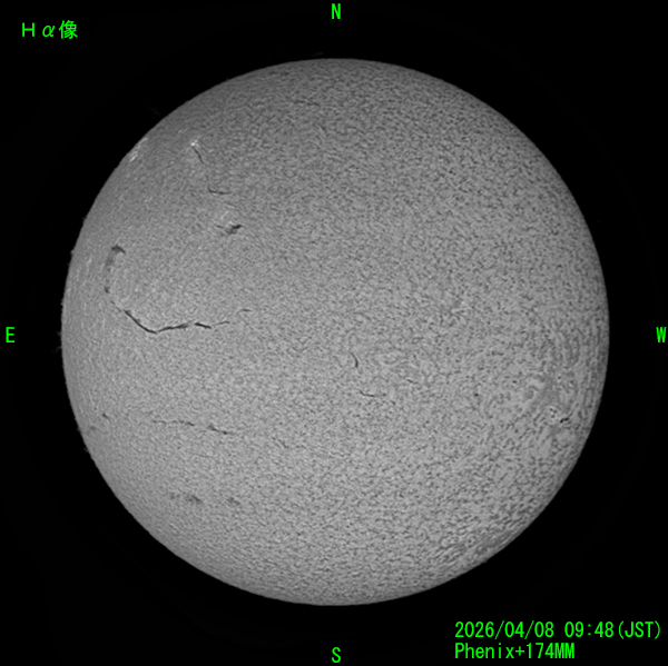 2026年4月8日のHα線太陽像