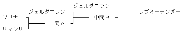 ラブミーテンダー育成経過図