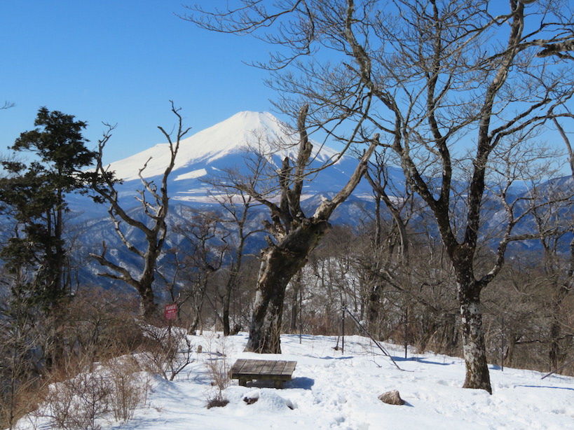 2月25日大室山西ノ肩