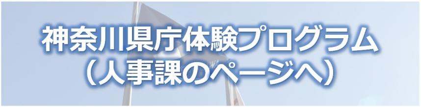 神奈川県庁体験プログラム