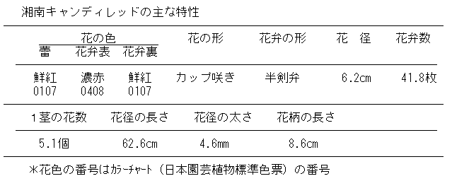 湘南キャンディレッド品種特性表