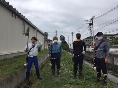 草刈りの様子