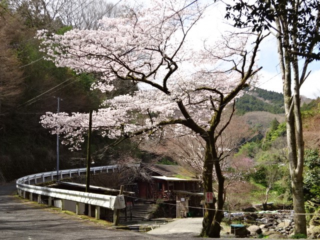 220330広沢寺温泉