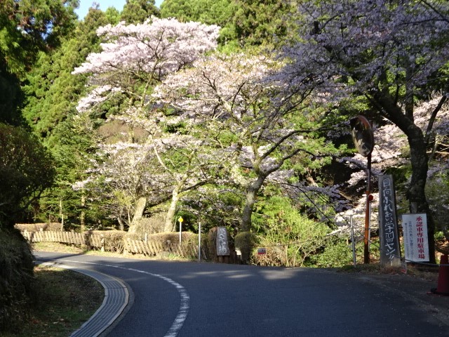 220409日向側登山口