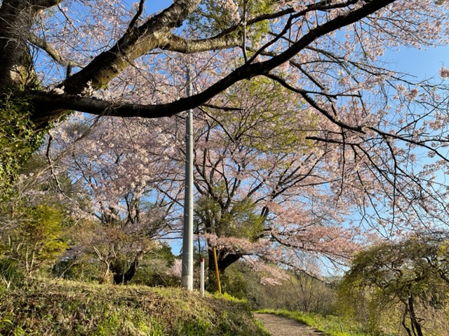 220410陣馬山登山口