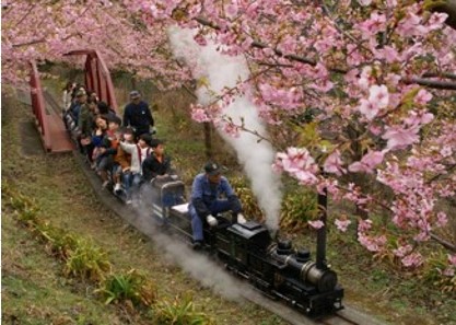 いやしの旅松田町