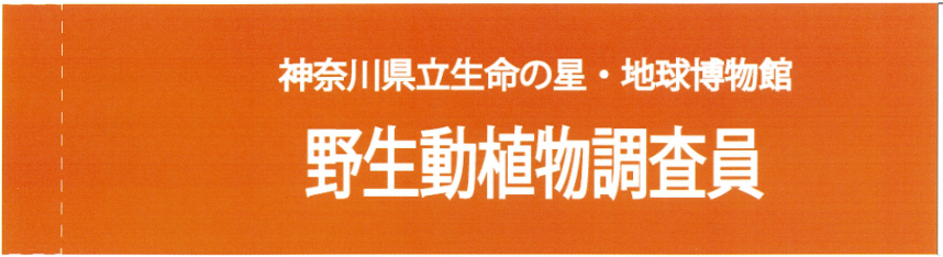 野生動植物調査員腕章