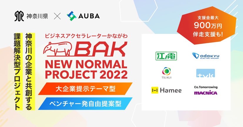 baknewnormal2022logo