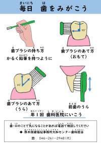 毎日歯をみがこう