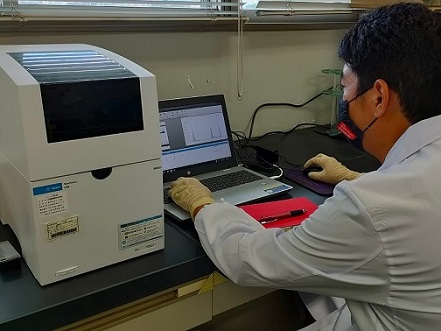 分析作業の要所で実施するクオリティチェックの様子