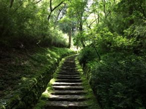 恩賜箱根公園園路