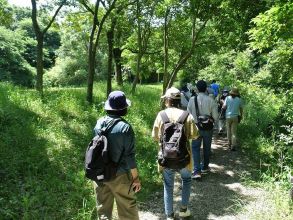 相模三川公園自然観察