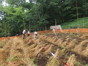 津久井湖城山公園農業体験