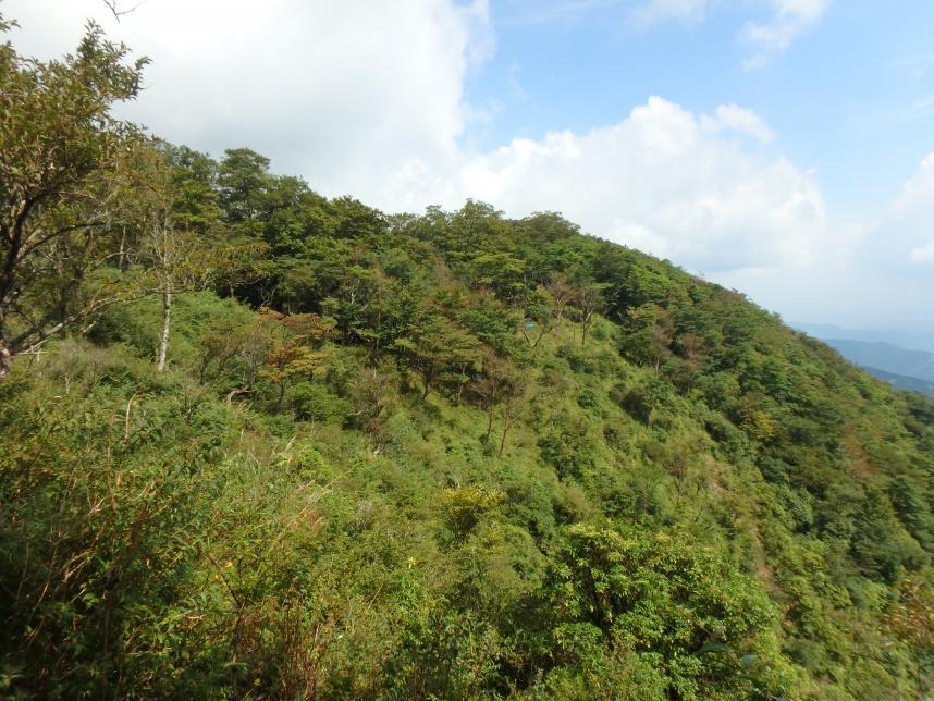 220914鍋割山陵　鍋割山ー小丸間