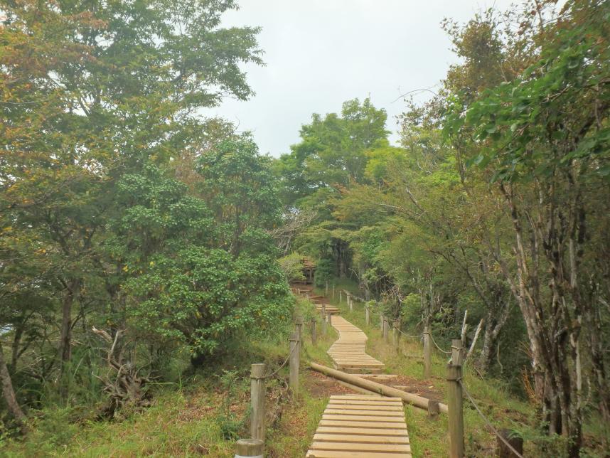 220914鍋割山山頂付近