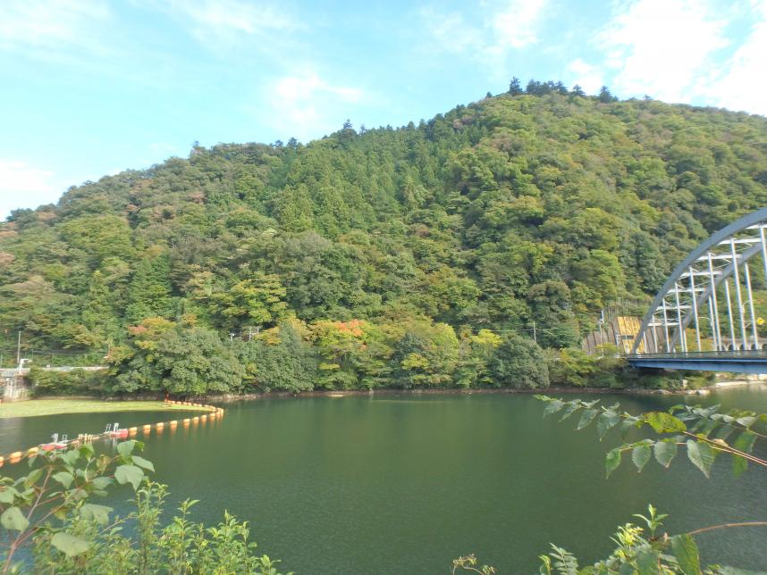 10月21日相模湖から見た嵐山