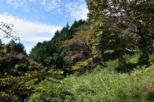 10月21日明王峠