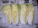 写真：四つ割りにする