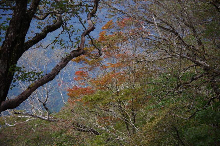 9月28日大室山山頂周辺