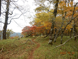 221022臼ヶ岳　山頂