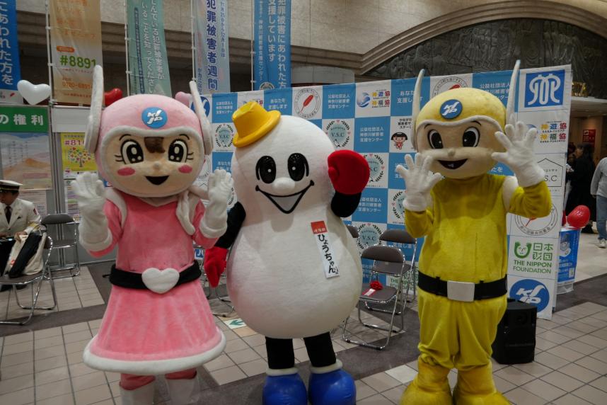 R7ひょうちゃん