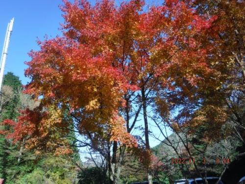 11月3日ヤビツ峠