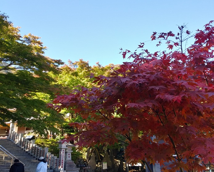 10月31日大山阿夫利神社下社