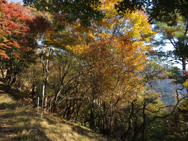 11月10日堀山の家周辺