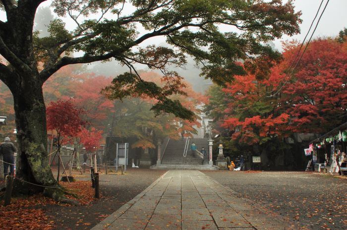 11月15日大山阿夫利神社下社